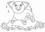 Mud Drawing Pig Getdrawings Puddle Coloring Pages Funny Personal Sketch Use Template Credit Larger sketch template