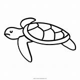 Turtle Tortuga Tartaruga Colorear Desenho Marinha Aquatic Cheloniidae Hitam Hewan Kura Nemo Penyu Clipartmag Seaturtle Ultra Tortoise Coloringcity sketch template