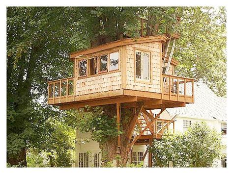 plans   tree house luxury brilliant tree house blueprints  build  treehouse design