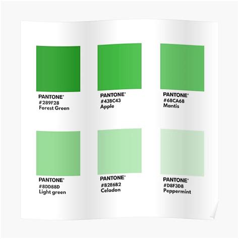 bright green pantone color swatch poster  sale  softlycarol redbubble
