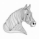 Cavallo Disegno Colorare Zentangle Progettazione Dello Tatuaggio Stylized sketch template