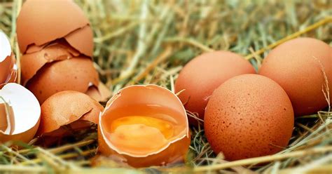 rueyada yumurta kirmak nedir yumurtanin kirilmasi ne anlama gelir