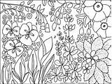 Coloring Flower Sheet Above Pdf Click sketch template