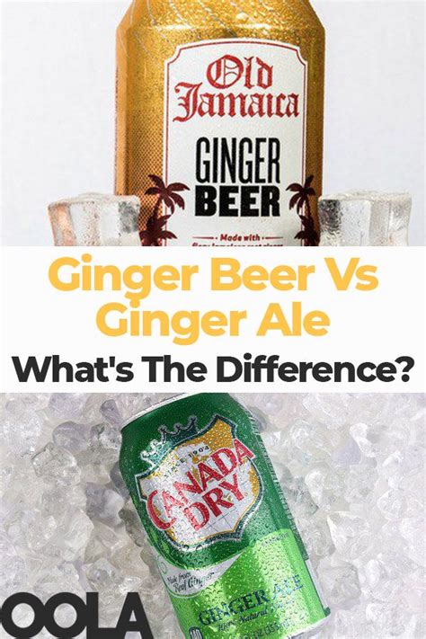 ginger beer vs ginger ale what s the difference what is ginger