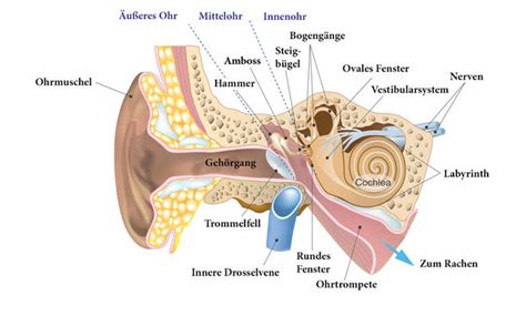 ohrgeraeusche wann steckt kein tinnitus dahinter