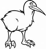 Kiwi Bird Coloring sketch template