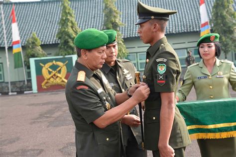 kenali tentara nasional indonesia  membedakan warna seragam