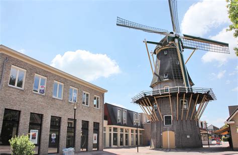 aalsmeer travel  city guide netherlands tourism