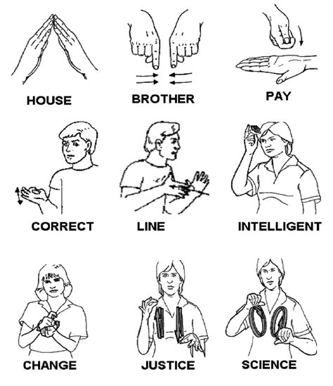 examples  signs    lsch chilean sign language test