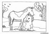 Foal Mare Coloring Pages Horse Color Hellokids Drawing Print Animals Getdrawings Farm Getcolorings Colori Printable Animal sketch template