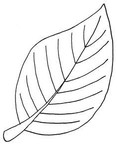 flowers coloring pages ideas   coloring pages coloring