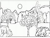 Arboles Selva Pinos Toamna Wald Floresta Peisaje Colorat Desene Peisaj Trees Malvorlagen sketch template