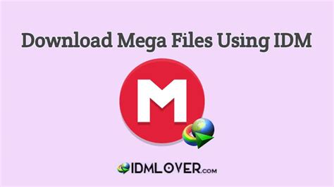 mega downloader   mega files fast  idm jan