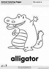 Alligator Supersimple Flashcards sketch template