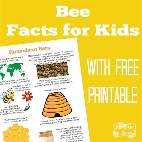 fun bee facts  kids itsybitsyfuncom
