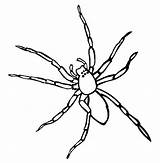 Spider Coloring4free Coloring Pages Print Related Posts sketch template