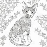 Rex Coloring Devon Zentangle Vector Stock Stylized Cat Dreamstime Designlooter Illustration Decoration Tattoo Shirt Dog Logo Royalty sketch template