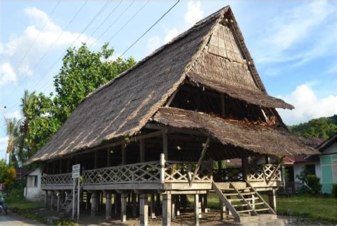 rumah adat maluku mengenal rumah adat maluku jenis ciri khas hingga sketsa rumah