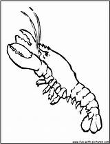 Lobster Coloring Kids Pages Clipart Fun Library Popular sketch template