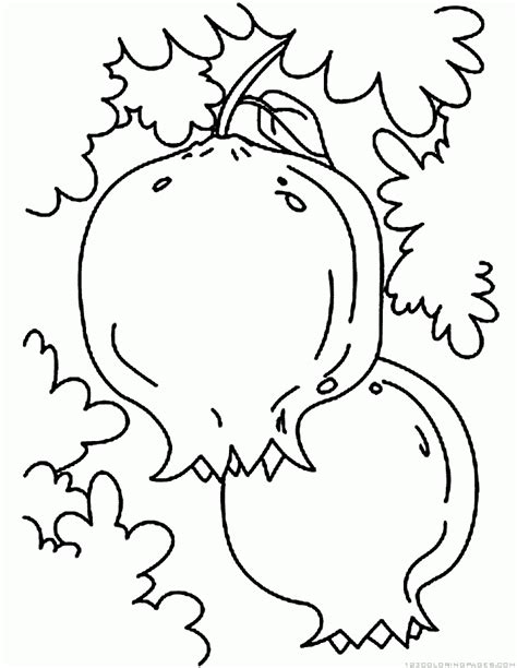 pomegranate coloring pages