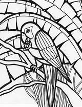 Parrot Jungle Coloringtop sketch template