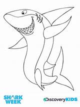 Coloring Pages Hammerhead Getdrawings Shark sketch template