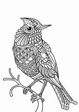 Animal Coloring Pages Intricate Extravagant Getcolorings Print Color sketch template