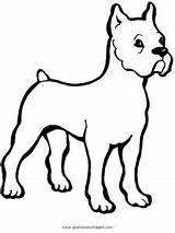 Boxer Hunde Tiere Malvorlage sketch template