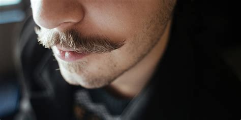 Mustache Grooming Guide Appearance