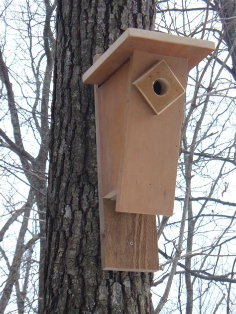 build   peterson bluebird nest box plans   step  step instructions entice