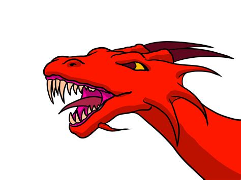 draw  dragon head  pictures wikihow