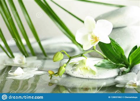 spa stones orchid  bamboo leaves  water stock photo image
