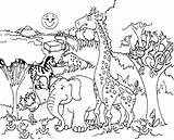 Habitat Forest Drawing Coloring Pages Kids Animal Printable Animals Getdrawings sketch template