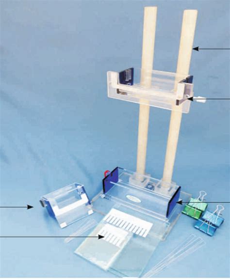 vertical sequencing gel system model namenumber    rs piece  pune