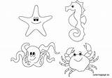 Sea Coloring Animals Pages Creatures Ocean Animal Underwater Life Under Kids Printable Color Scene Sheets Floor Preschool Simple Deep Coloringpage sketch template