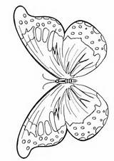 Butterfly Coloring Pages Colouring Wings Printable Kids Butterflies Outline Template Clipart Drawing Unique Morpho Blue Parents Young Fairy Print Crafts sketch template