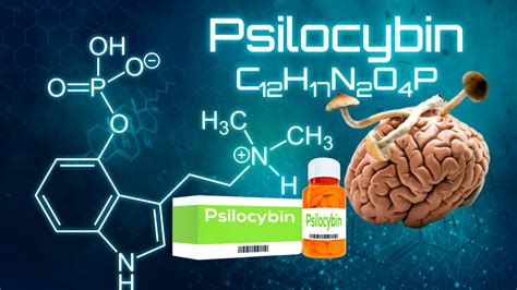 Magic Mushrooms Pills Vs Synthetic Psilocybin Which Is
