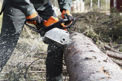 How To Buck Up Trees With A Chainsaw