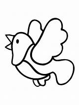 Pigeon Coloring Pages Cartoon sketch template