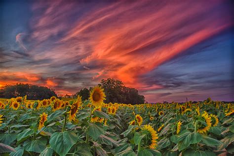 stunning   rural kansas