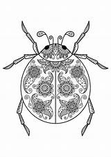 Ladybug Insect Tress sketch template