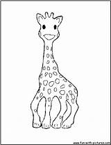 Giraffe Girafe Coloriages Giraffes sketch template