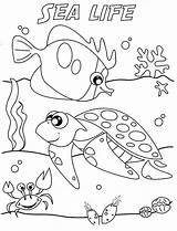Coloring Ocean Pages Sea Printable Under Kids Sheet Life Print sketch template