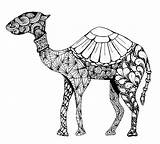 Coloring Pages Arabic Henna Mandala Adult Animal Arab Colouring Dromedary Woman Drawings Africa Zentangle sketch template