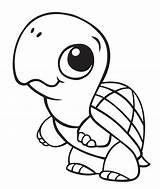 Turtle Cute Baby Coloring Pages Printable Animals Kids Animal Categories sketch template