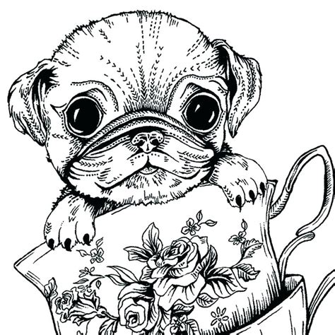 baby pug coloring pages coloring home