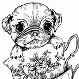 Coloring Pug Pages Dog Cute Adults Baby Printable Print Colouring Teacup Kids Adult Puppy Sheets Color Animal Puppies Book Greeting sketch template