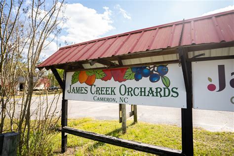 experience   annual peach festival candor nc