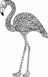 Coloring Animal Advanced Flamingo Pages Kidspressmagazine Adult Treat Loved Yourself Some Color Soothing Mandala Printable Adults Now Visit Bird sketch template