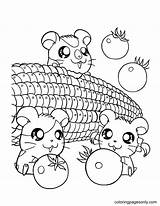 Coloring Hamsters Hamtaro Comendo Milho Ratinhos Ausmalbild Coloringhome Anime 101coloring Hello Malvorlagen Kostenlos Azcoloring Tudodesenhos Ausdrucken Abetterhowellnj sketch template